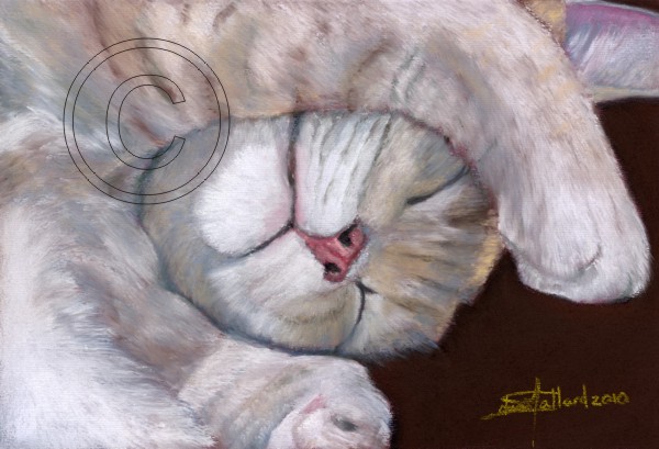 Catnapping
